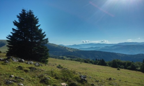 Zdjcie SOWACJA / wielka Fatra / pasmo fatry / widok z Fatry