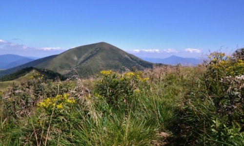 Zdjecie SOWACJA / Maa Fatra / Poudniowy Gro / Stoh