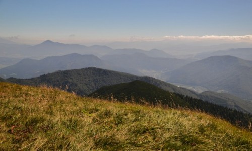 Zdjecie SOWACJA / Maa Fatra / Hromove / Widok w stron Wielkiego Chocza
