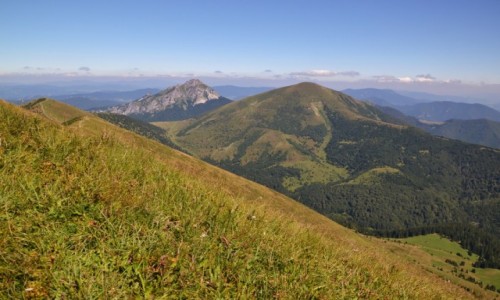 Zdjecie SOWACJA / Maa Fatra / Poludniowe Steny / Widok w stron Wielkiego Rozsutca