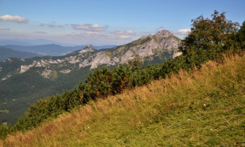 Zdjecie SOWACJA / Maa Fatra / Poudniowy Gro / Jeszcze lato
