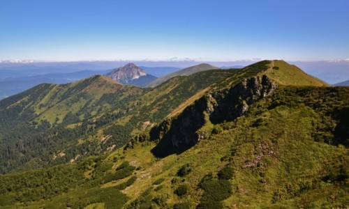 Zdjecie SOWACJA / Maa Fatra / Chleb / Poudniowa Gra