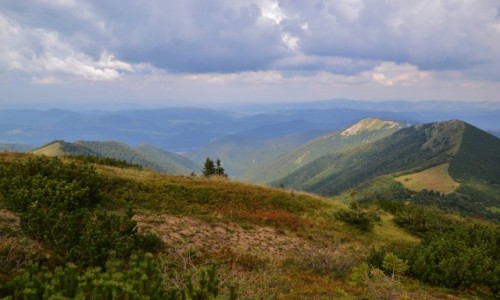 Zdjcie SOWACJA / Maa Fatra / Przecz Bublen / Widok na Kraviarske