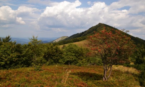 Zdjecie SOWACJA / Maa Fatra / Chrapaki / Widok na Kraviarskie