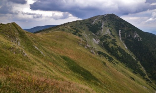 Zdjcie SOWACJA / Maa Fatra / Piekielnik / Wielki Krywa Fatrzaski
