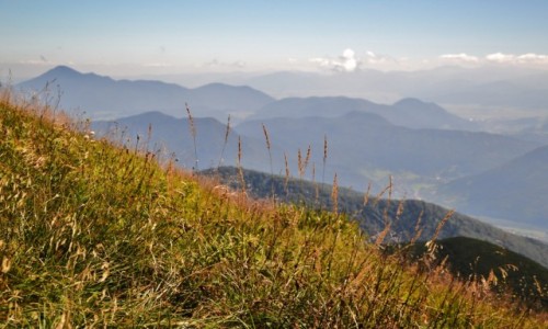 Zdjcie SOWACJA / Maa Fatra / Hromove / W stron Chocza