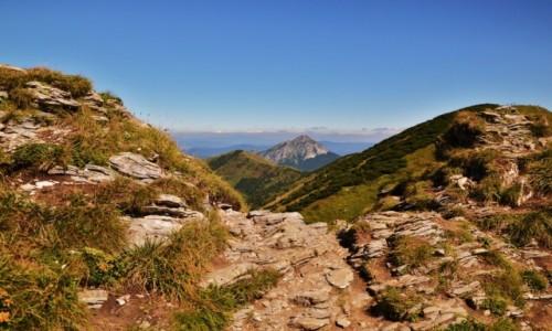 Zdjcie SOWACJA / Maa Fatra / Poludniowe Steny / Na szlaku II