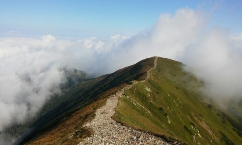 Zdjecie SOWACJA / Tatry zachodnie / Woowiec / Spacer w chmurach 