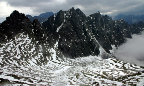 Zdjcie SOWACJA / Tatry / Dolina Jaworowa / Zebra, czyli Jaworowe :-)