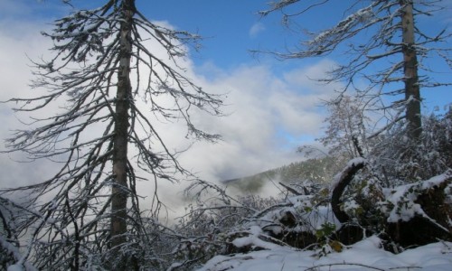 Zdjęcie SłOWACJA / Tatry Wysokie / Grunik 1576 / W drodze na Krivań I