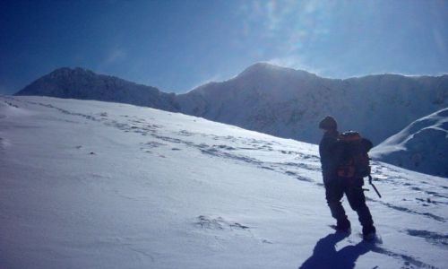 Zdjecie SOWACJA / Tatry / Wolovec / Na grani