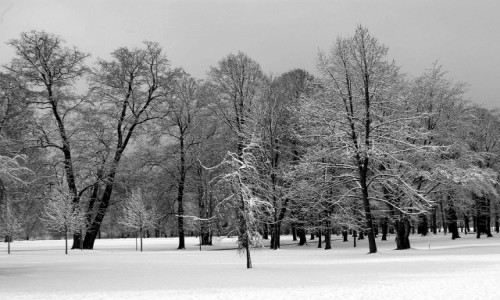 Zdjecie SOWACJA / ilina / Zamek Budatn  / Zamkowy park