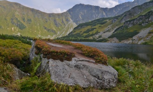 Zdjecie SOWACJA / Tatry Zachodnie / Dolina Rohacka / Rohackie pleso