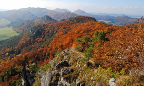 Zdjecie SOWACJA / Pnocna Sowacja / Sulov / Kademu ycz takiej jesieni.