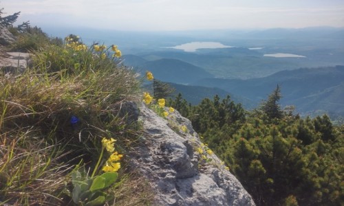 Zdjęcie SłOWACJA / chocz / vielki chocz / na vielkim choczu...