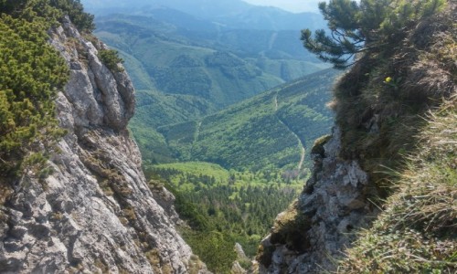 Zdjęcie SłOWACJA / chocz / vielki chocz / w obiektywie majowa zieleń...