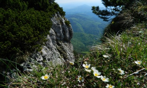 Zdjęcie SłOWACJA / chocz / vielki chocz / kolory na szczycie...