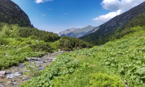 Zdjcie SOWACJA /  od jaworowej doliny / gdzie po drodze  / klimatyczny mostek...