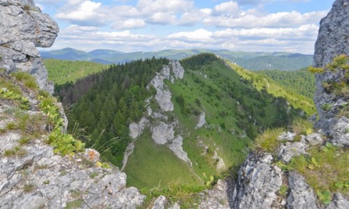 Zdjcie SOWACJA / Wielka Fatra / Ostra / Id w gry- bo s.