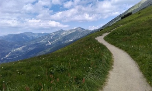 Zdjęcie SłOWACJA / tatry niskie / na szlaku... / w drodze na Dumbier