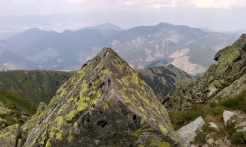 Zdjęcie SłOWACJA / tatry niskie / na szlaku... / kamienny motyw...