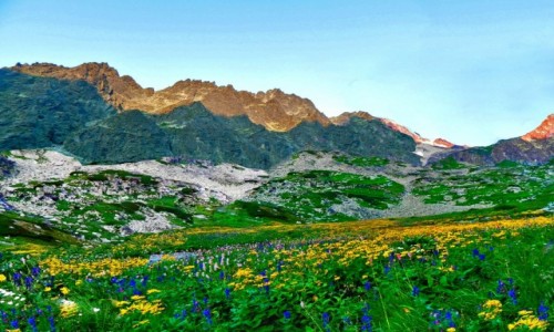 Zdjcie SOWACJA / Polski Grzebie 2200 m. / Dolina Wielicka. / Gerlach z Wielickich Ogrodw.