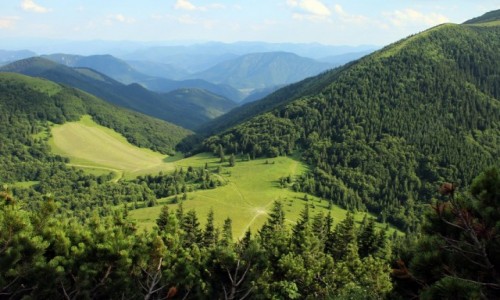 Zdjecie SOWACJA / Maa Fatra / Wielki Rozsutec / Zielona Maa Fatra