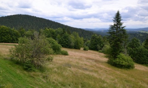 Zdjecie SOWACJA / Kysuce / Przecz Beskyd / Bukovina