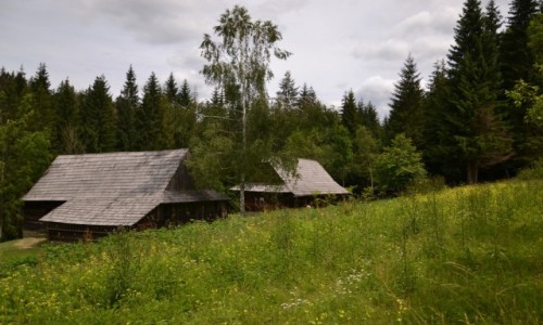 Zdjcie SOWACJA / Kysuce / Vychylovka / 