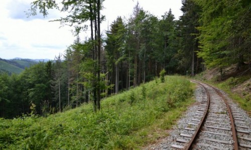 Zdjcie SOWACJA / Kysuce / Przecz Beskyd / 