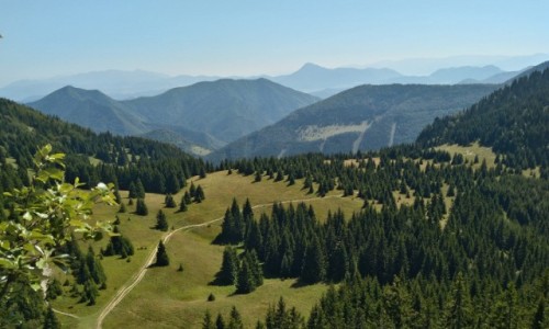 Zdjecie SOWACJA / maa fatra / may rozsutec / panorama z maego rozsutec