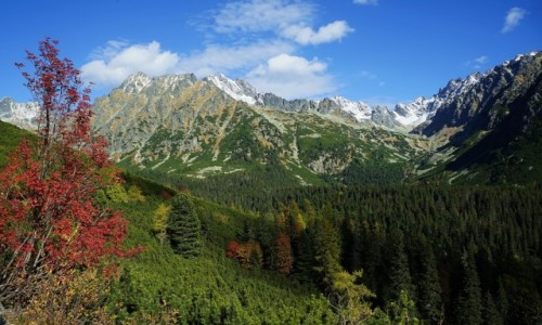 Zdjecie SOWACJA / Wysokie Tatry / W drodze nad Popradske Pleso / Jesie w Tatrach Sowackich