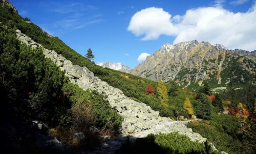 Zdjecie SOWACJA / Wysokie Tatry / W drodze nad Popradske Pleso / cieka