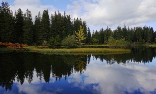 Zdjecie SOWACJA / Tatry Niskie / Demianowska Dolina / Vrbick pleso
