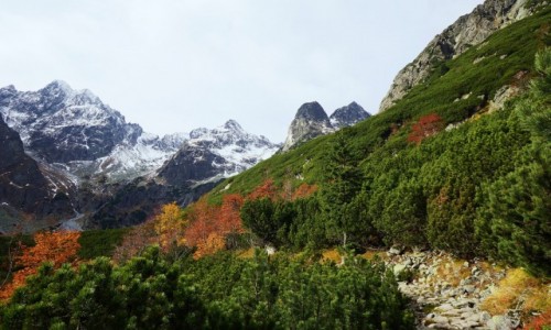Zdjecie SOWACJA / Tatry Wysokie / Dolina Biaych Staww / W drodze nad Zielony Staw Kiemarski