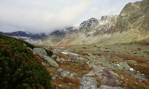 Zdjcie SOWACJA / Tatry Wysokie / Dolina Miguszowiecka / W drodze nad Wielki Hiczowy Staw