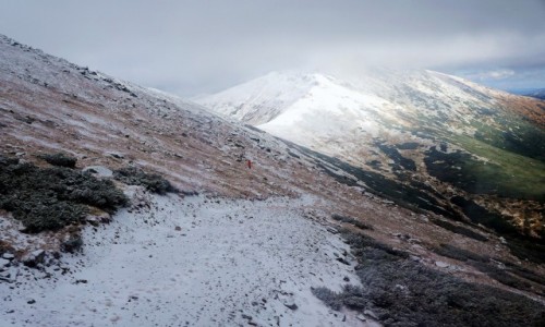 Zdjęcie SłOWACJA / Tatry Niskie / Pasmo Dżumbiera / W drodze na Chopok