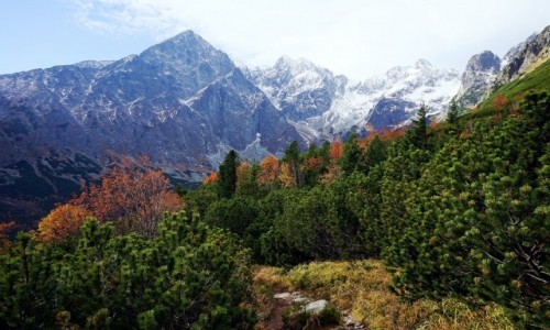 Zdjecie SOWACJA / Tatry Wysokie / Dolina Biaych Staww / W jesiennych barwach