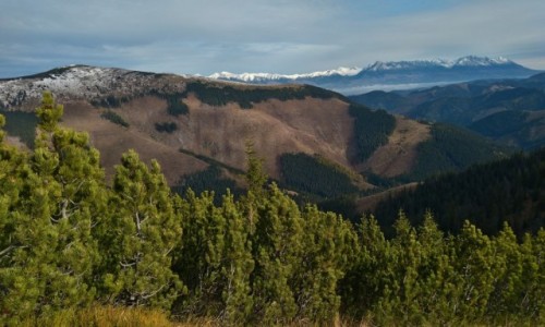 Zdjecie SOWACJA / tatry niskie / gdzie na szlaku / magia kolorw...