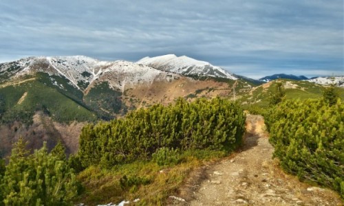 Zdjęcie SłOWACJA / tatry niskie / gdzieś na szlaku / smak kolorów w górach...