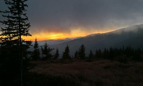 Zdjecie SOWACJA / tatry niskie / gdzie na szlaku   / zachd w tatrach niskich