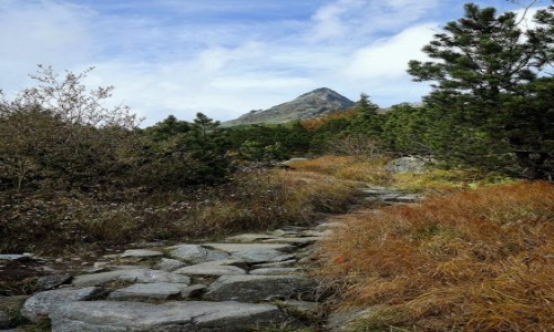 Zdjecie SOWACJA / Wysokie Tatry / Dolina Miguszowiecka / W gry, w gry...