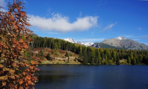 Zdjcie SOWACJA / Wysokie Tatry / Strbske Pleso / Jesie