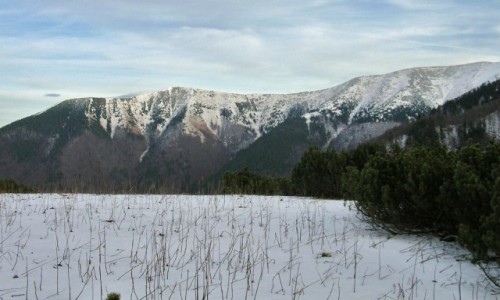 Zdjecie SOWACJA / Maa Fatra / Sedlo za Kravianskym / Widok na Poudniowy Gro