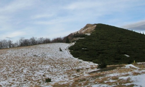 Zdj�cie S�OWACJA / Ma�a Fatra / Sedlo za Kravianskim / Kravianski