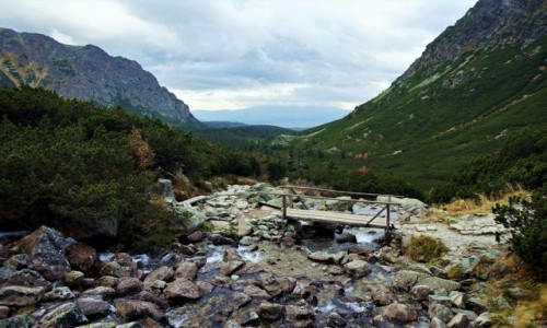 Zdjcie SOWACJA / Wysokie Tatry / Powrt z nad Hiczowych Staww / Mostek nad abim Potokiem