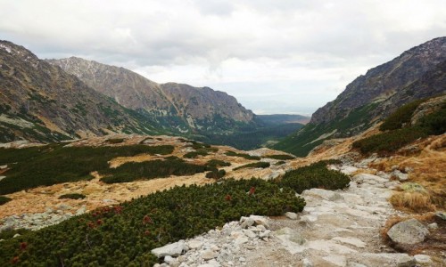 SOWACJA / Wysokie Tatry / Dolina Miguszowiecka / Powrt