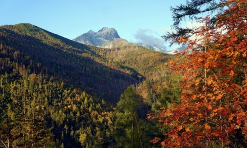 Zdjcie SOWACJA / Wysokie Tatry / Dolina do Siedmiu rde  / Barwy jesieni