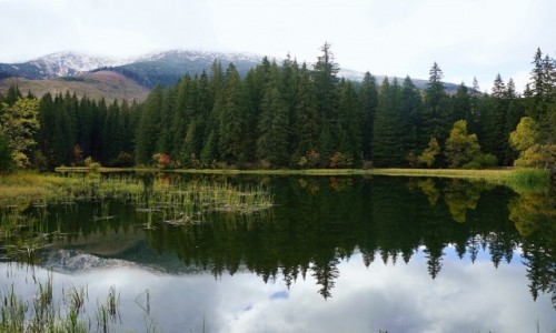 Zdjęcie SłOWACJA / Niżne Tatry / Demianowska Dolina / Vrbické pleso