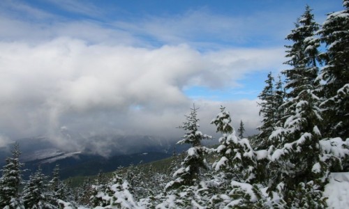 Zdjecie SOWACJA / Tatry Wysokie / Nina Priehyba 1775 / .....